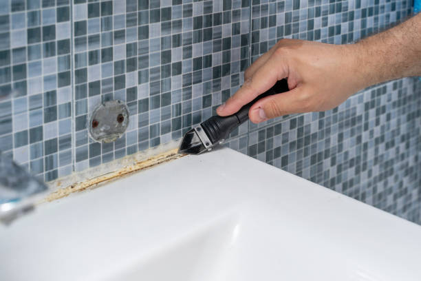 Best Certified Mold Removal  in Mount Joy, PA